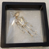 2026 36+ gram 999 Silver-Alien Mummy (Short)