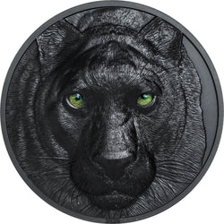 2020 $10 Palau, HUNTERS BY NIGHT- PANTHER, 2oz 999 Silver Coin