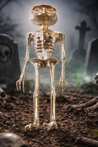 2026 36+ gram 999 Silver-Alien Mummy (Short)